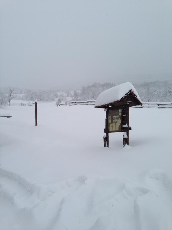 Bruscoli Agriturismo Il Passeggere מראה חיצוני תמונה